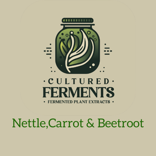 nettle, carrot & beetroot ferment